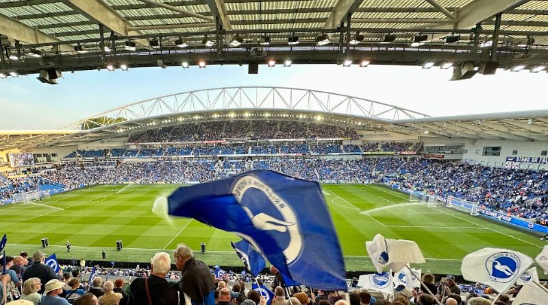 Câu lạc bộ Brighton & Hove Albion