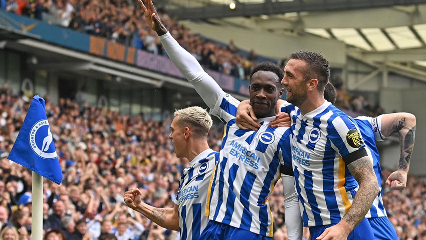 Câu lạc bộ Brighton & Hove Albion