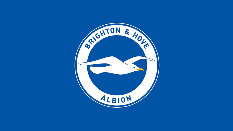 Câu lạc bộ Brighton & Hove Albion