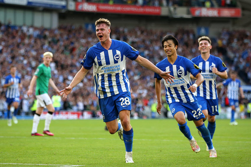 Câu lạc bộ Brighton & Hove Albion