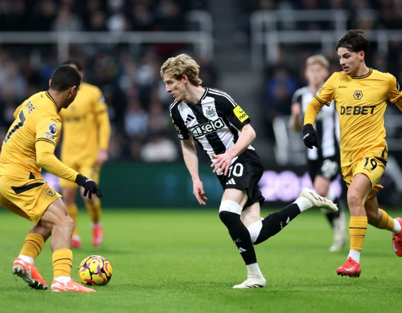 soi kèo ngoại hạng anh Wolves vs Newcastle